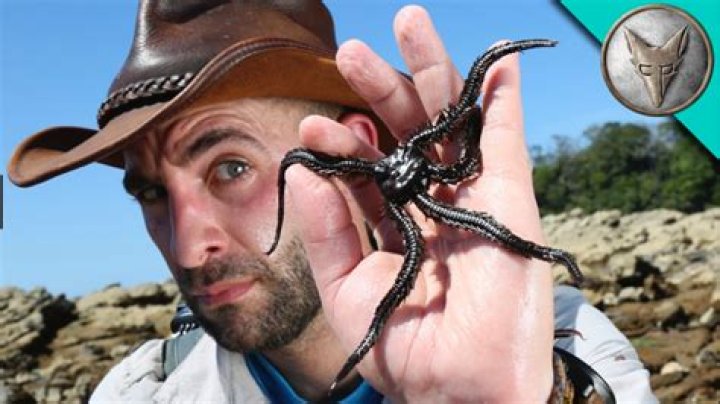 Unveiling The True Identity Of Coyote Peterson: Discoveries And Insights